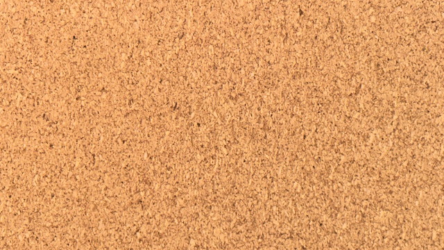 channel icon for my photograhpy, links to my instagram account